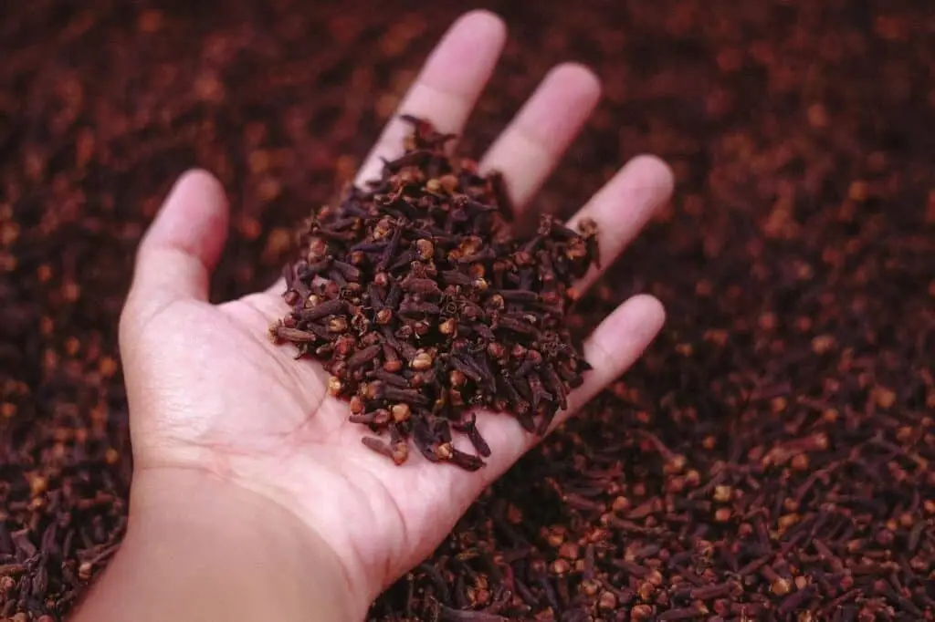 Health Benefits of Cloves
